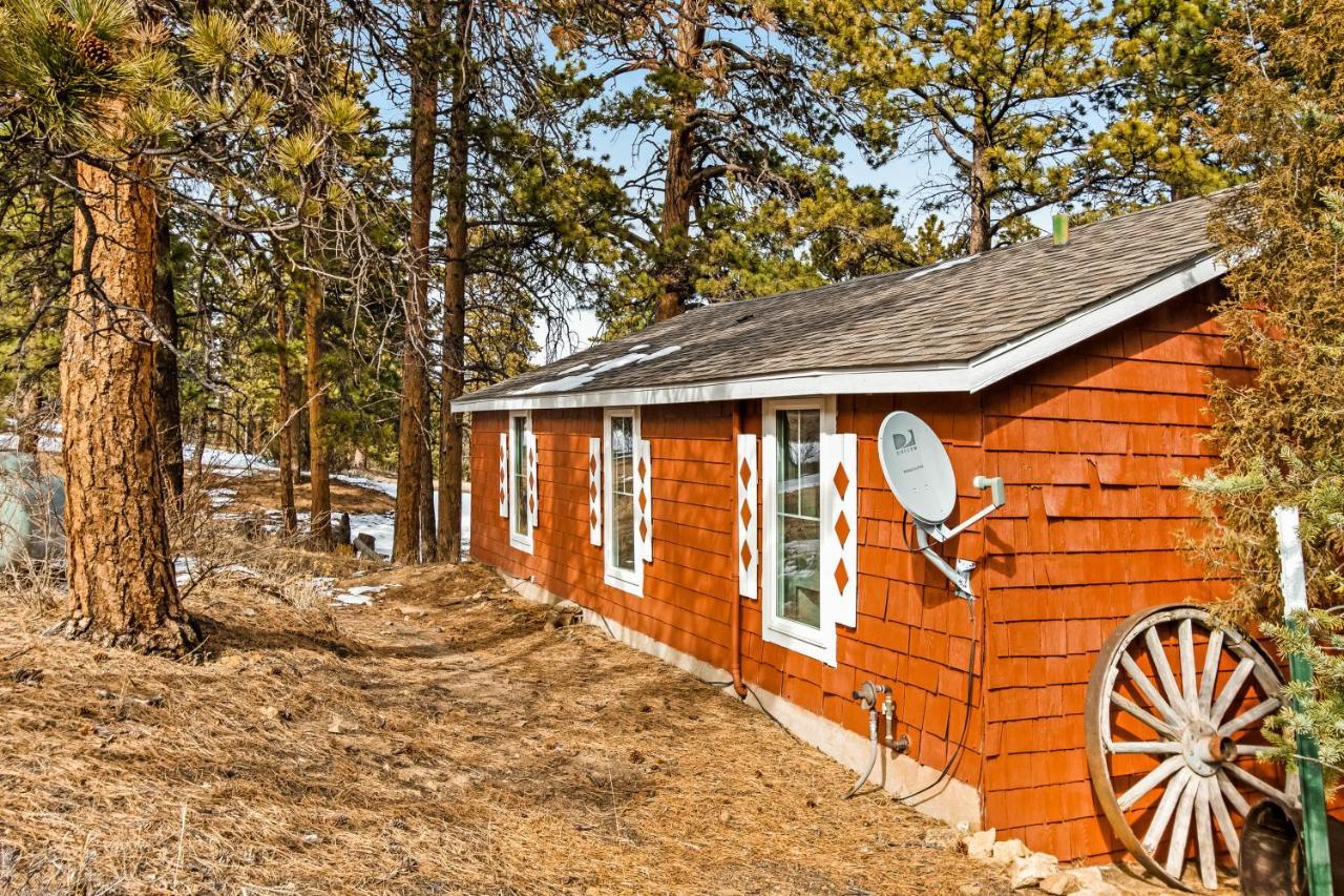 אסטס פארק Grandma'S Cabin מראה חיצוני תמונה